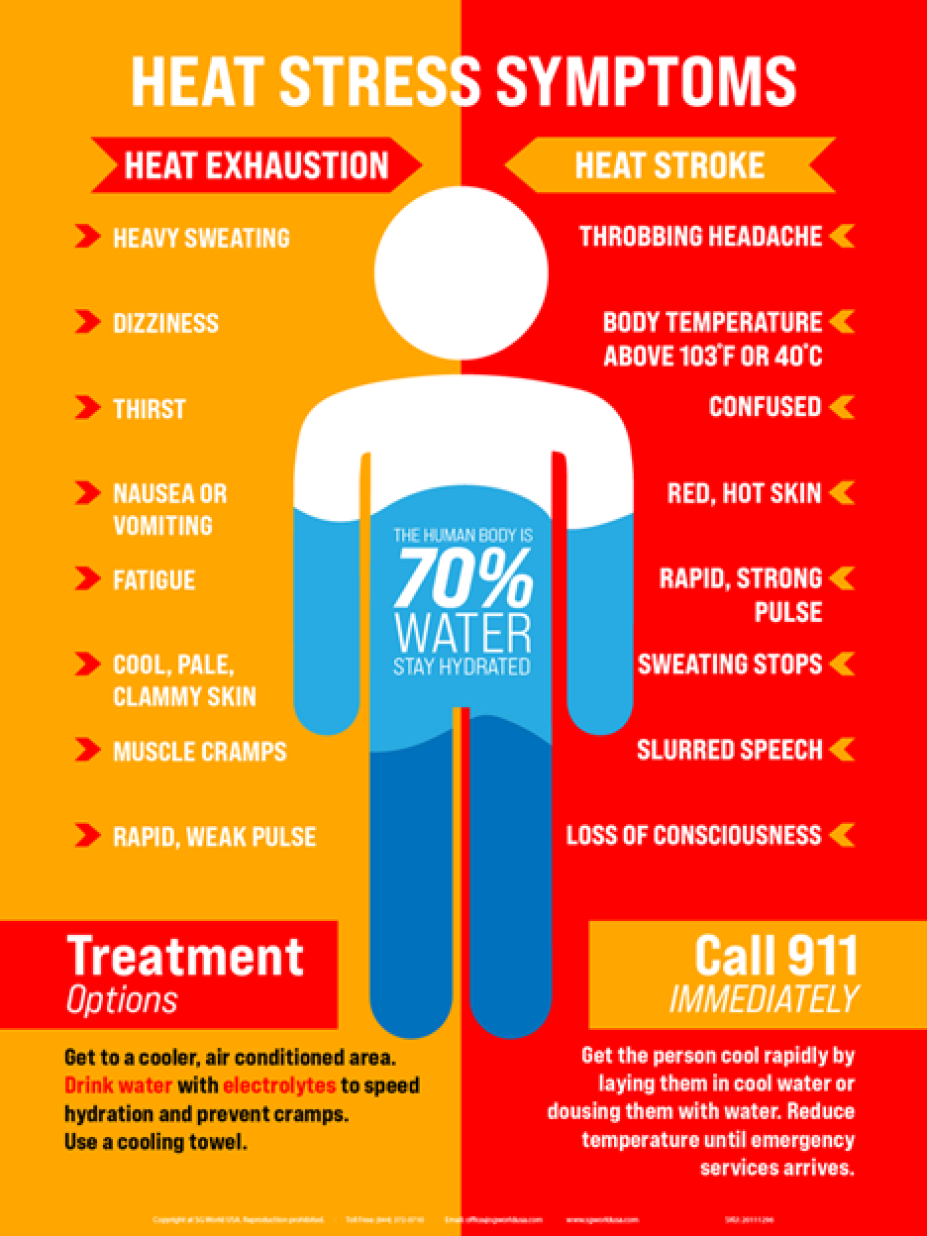 Heat Stress Symptoms
