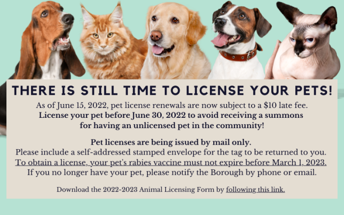 There is still time to license!