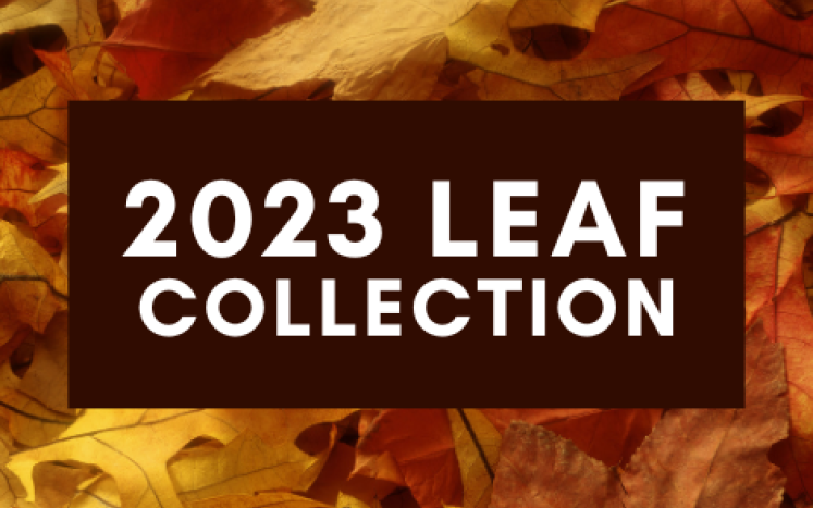 2023 Leaf Collection